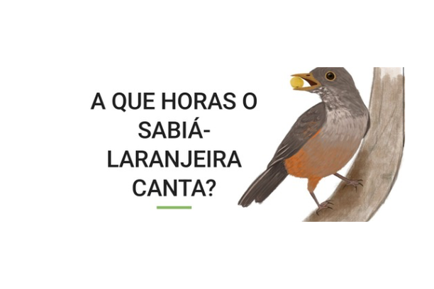 image for A que horas o sabiá-laranjeira canta?