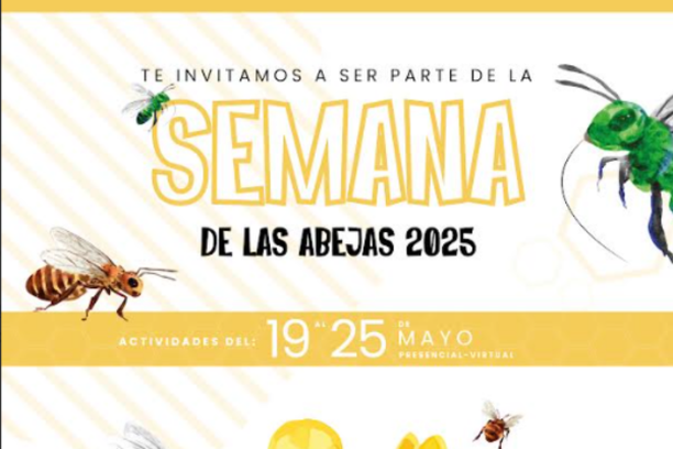 image for IV Conteo Nacional de Abejas Costa Rica 2025