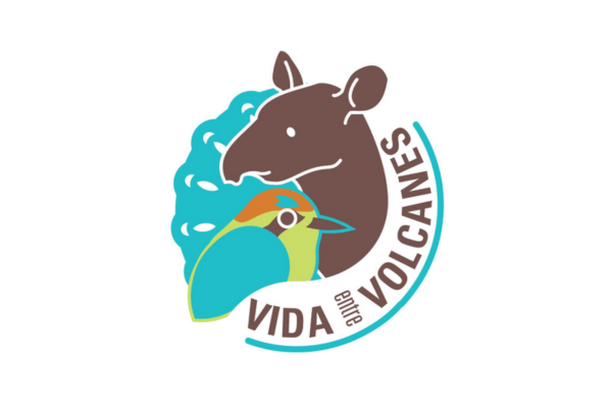 image for Vida entre Volcanes