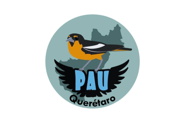 image for PAU Querétaro. Programa de Aves Urbanas