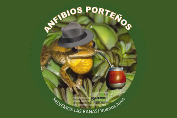 image for Los anfibios de la Ciudad Autónoma de Buenos Aires